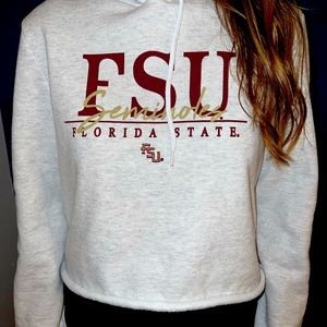 Women’s FSU Seminoles vintage style crop pullover hoodie. Size Small.
